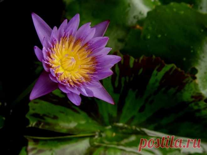 Редактировать описание