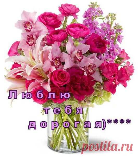 Елена Котенкова