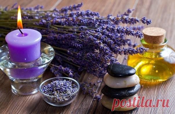 Не болейте ! Ароматерапия вам поможет !

* При заложенности носа.
13 капель эфирного маспа сосны, 2 капли эфирного масла перечной мяты, 15 капель масла эвкалипта.

Смешать все масла в бутылочке. Нанести 2-3 капли на ватный шарик, вдыхать по мере необходимости.

* Смеси для массажа против кашля
Смеси легкими движениями втирать в грудь, спину 1-3 раза в день. Смеси чередовать.

Вариант №1.
Эвалипт — 5 капель, лаванда — 4 капель, шалфей — 5 капель, чайное дерево — 6 капель, л...