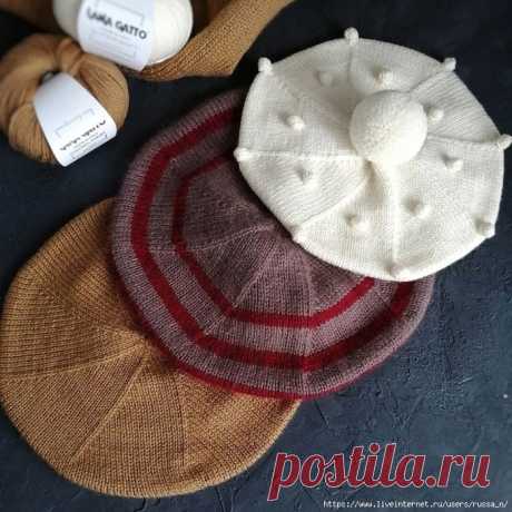 Описание взрослого берета