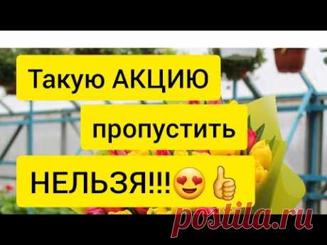 Не смог удержаться!!!//Садоводы поймут!😊👍🌱