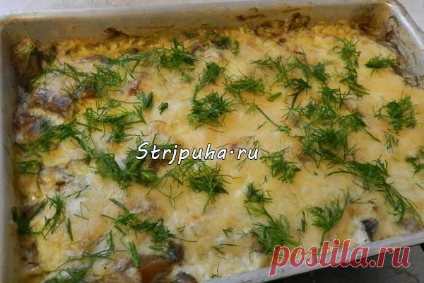 Грибы запеченные в сметане под сыром — Домашняя кулинария