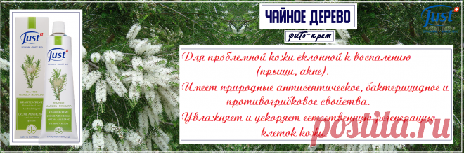 Натуральный крем Чайное Дерево от Just (Юст), антисептический против прыщей и воспаления кожи. Он быстро впитывается, устраняя раздражение, покраснение, шелушение, зуд. Снимает воспаление, обеспечивая полноценную регенерацию при травмах кожи и экземах, успокаивает боль и снимает покраснение при ожогах. Эффективно действует при кожных высыпаниях, герпетической, гнойничковой, угревой сыпи, прыщах, порезах, ссадинах, опрелости между пальцами ног. Используется при лечении бородавок,геморроя и т.д.