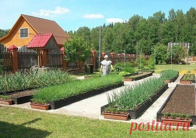 (99) Одноклассники