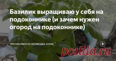 «Базилик выращиваю у себя на подоконнике (и зачем нужен огород на подоконнике) | ПРО красивости: косметика, кухня | Яндекс Дзен» — карточка пользователя Елена в Яндекс.Коллекциях