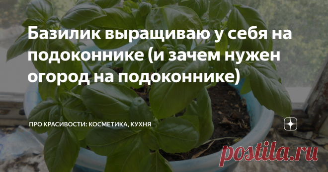 «Базилик выращиваю у себя на подоконнике (и зачем нужен огород на подоконнике) | ПРО красивости: косметика, кухня | Яндекс Дзен» — карточка пользователя Елена в Яндекс.Коллекциях