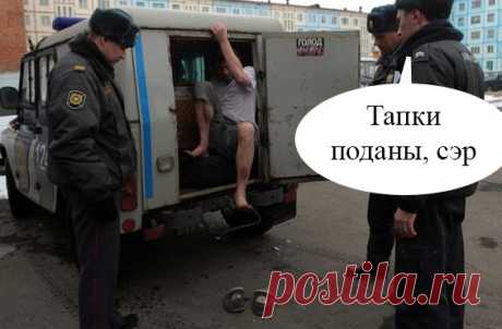 тапки