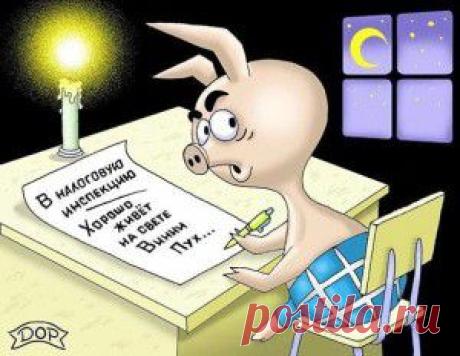 Свинья | 1.У свиньи оргазм длится 30 минут.(30 минут! Нифигасе… Хочу быть свиньей в следующей жизни! )
2. У сомов более 27 000 вкусовых рецепторов.(И что там такого вкусного на дне?)
3. Таракан живёт без головы 9 дней, после чего умирает от голода.(Я все о свинье думаю…)
4. Блоха может прыгнуть на расстояние.....