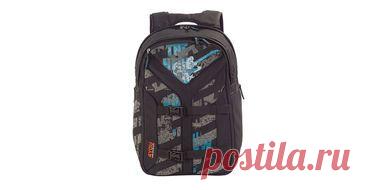 Бегемотиха Миля сбежала из вольера зоопарка в Калининграде / Новости / Моя Планета