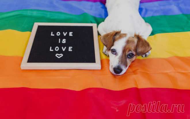 What Is Pride Month? | Wonderopolis