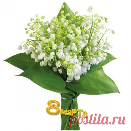 otk_8_m_BUKET10.jpg (600×600)