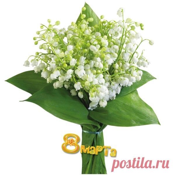 otk_8_m_BUKET10.jpg (600×600)