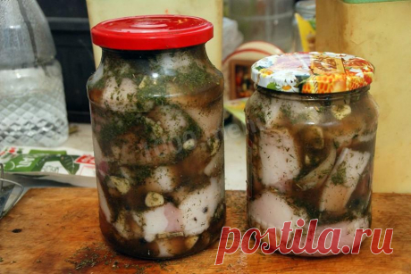 Сало в банке горячим рассолом рецепт с фото - 1000.menu