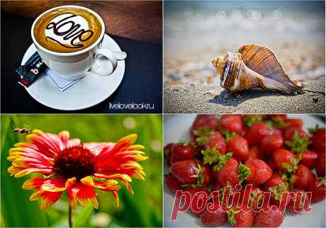 (+1) Про солнечные дни, эльфов, йогурты и Боба Марли