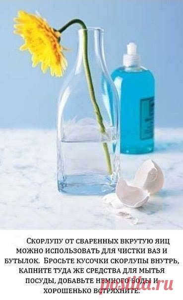 Страницы