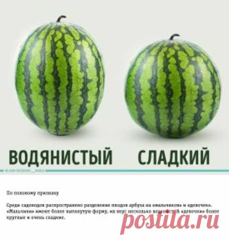 Сохраните себе, чтобы не потерять!