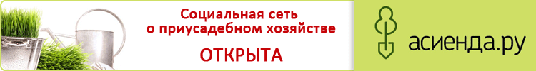 Отбелить белье: Экономная хозяйка!У меня ничего не пропадает!: Группы - diets.ru