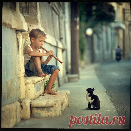 Концерт на двоих...