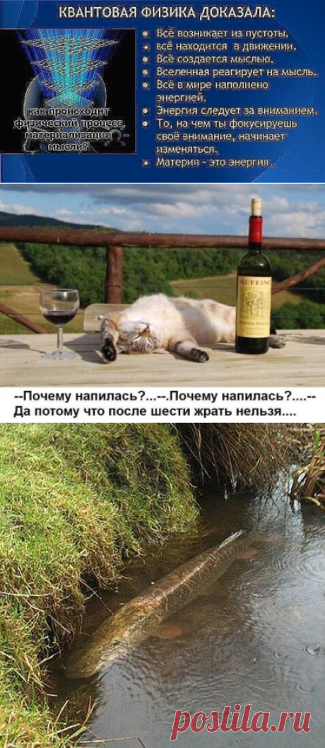 (52) Одноклассники