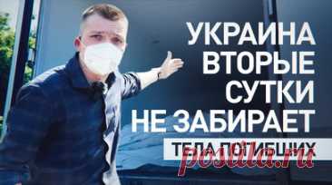 Встречных шагов от Украины не было: военкор RT о процессе передачи тел вэсэушников. Украина вторые сутки не забирает тела своих погибших солдат, грубо нарушая стамбульские договорённости. На месте ожидают 4 рефрижератора с 1212 телами, для их сохранения поддерживается нужная температура, передаёт военкор RT Александр Симонов. Всего к передаче готовят свыше 6 тыс. погибших. На месте находятся журналисты, включая представителей арабских и европейских СМИ. Читать далее