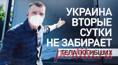 Встречных шагов от Украины не было: военкор RT о процессе передачи тел вэсэушников. Украина вторые сутки не забирает тела своих погибших солдат, грубо нарушая стамбульские договорённости. На месте ожидают 4 рефрижератора с 1212 телами, для их сохранения поддерживается нужная температура, передаёт военкор RT Александр Симонов. Всего к передаче готовят свыше 6 тыс. погибших. На месте находятся журналисты, включая представителей арабских и европейских СМИ. Читать далее