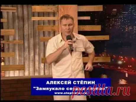 Алексей Стёпин (Alexey Stepin) "Замяукало сердце глупое" #мяу #хит #stepinalex