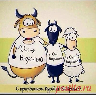 Лучшие Картинки На Курбан — Байрам (42 Новые Открытки) красивые и прикольные картинки с поздравлениями на русском, татарском и арабском языках