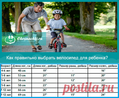Велосипед для ребенка: как правильно выбрать?