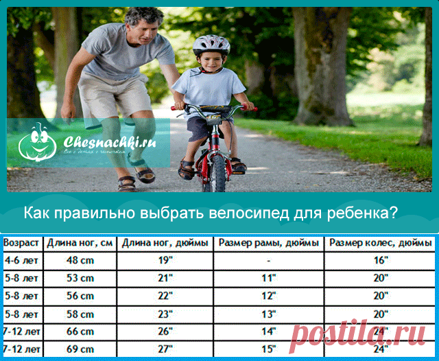 Велосипед для ребенка: как правильно выбрать?