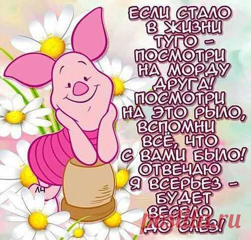 Если стало в жизни туго.....
Настя Забавина
))))))))))))))))))))