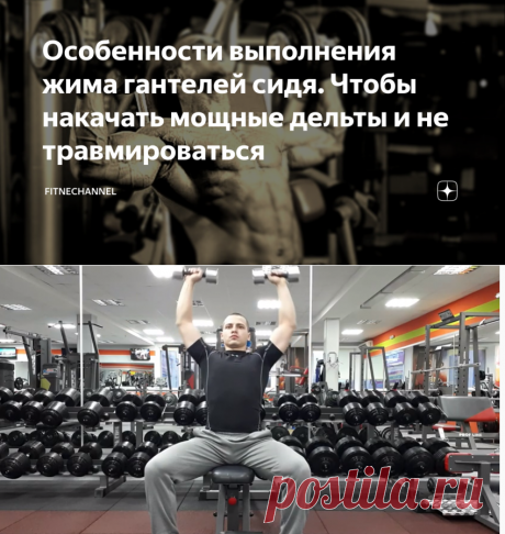 Особенности выполнения жима гантелей сидя. Чтобы накачать мощные дельты и не травмироваться | fitnechannel | Яндекс Дзен