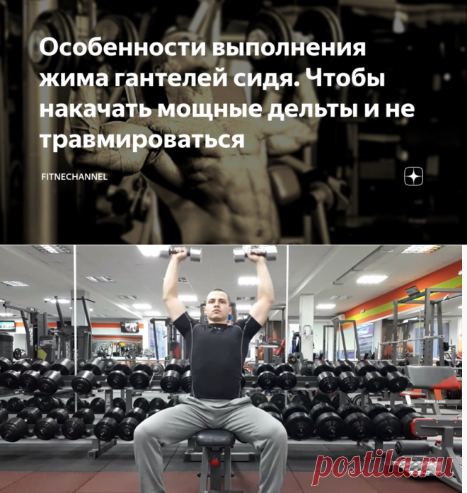 Особенности выполнения жима гантелей сидя. Чтобы накачать мощные дельты и не травмироваться | fitnechannel | Яндекс Дзен