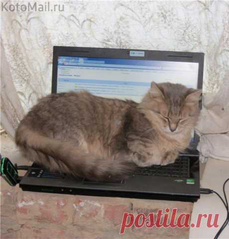 Потому что тёпленький....