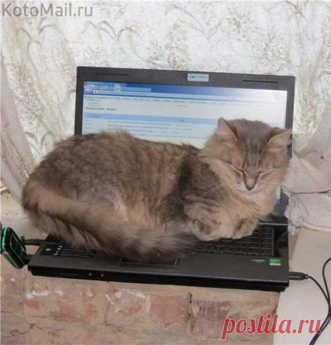 Потому что тёпленький....