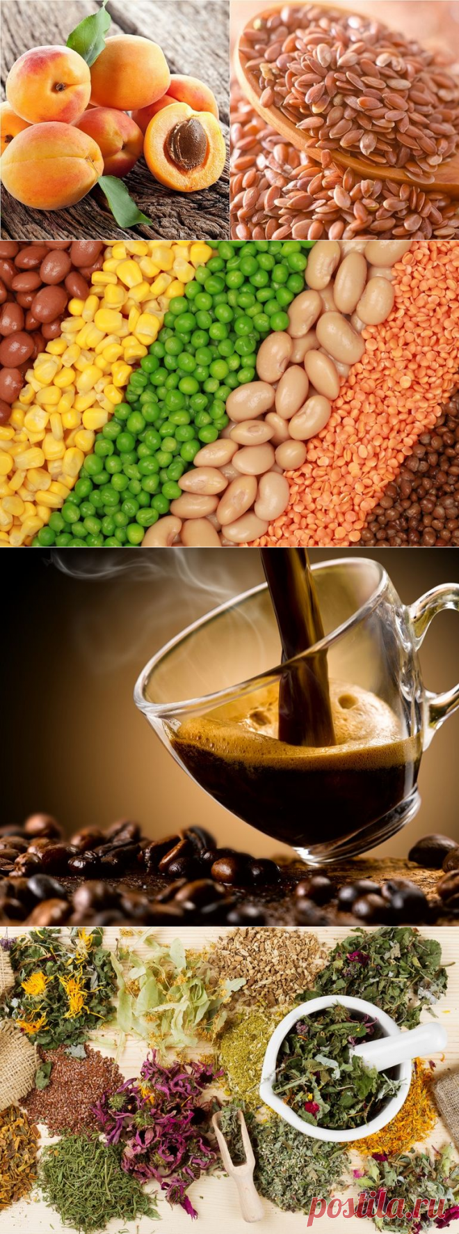 Чем питаться женщинам, чтобы продлить молодость: 5 продуктов, богатых эстрогенами