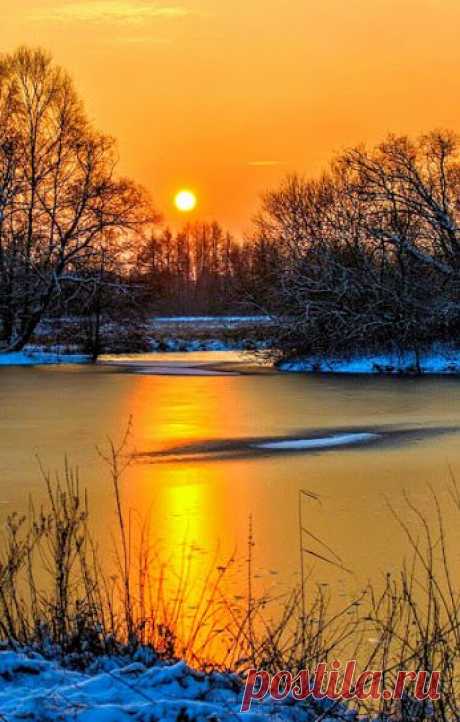 Liudmila PONOMAROVA – Google+
