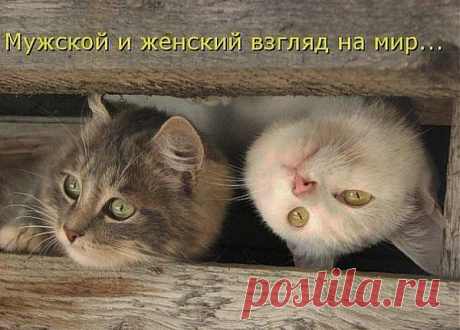 каждый видит мир по  своему