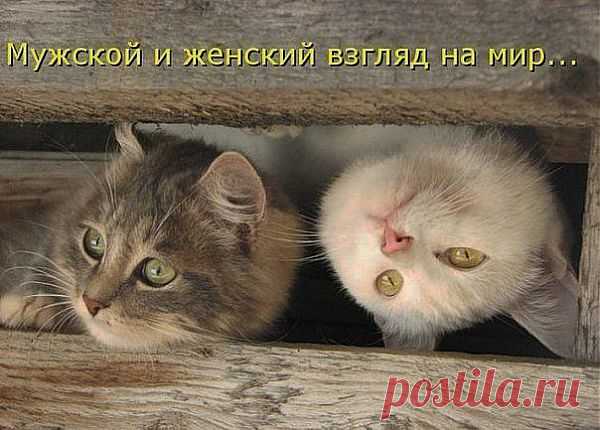 каждый видит мир по  своему