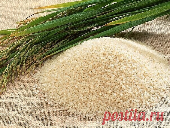 Все вредное выведет рис
Секрет тибетских лам.
Возьмем обычный рис, столько столовых ложек, сколько вам лет. Промоем, засыплем в банку, зальем теплой кипяченой водой, закроем крышкой и поставим в холодильник. Утром воду сольем, возьмем 1 столовую ложку с верхом риса, сварим его в течение 3-4 минут без соли и съедим натощак до половины восьмого утра. Оставшийся рис снова зальем кипяченой водой и поставим в холодильник. И так поступаем каждое утро, пока рис не закончится.
Сек...