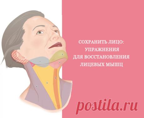 Упражнения для восстановления лицевых мышц / Будьте здоровы