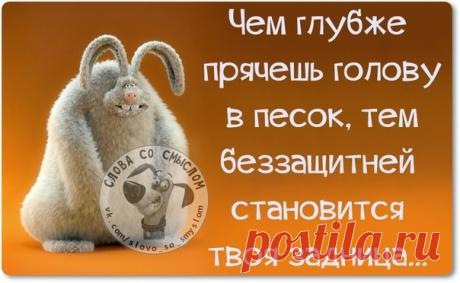 ПОЗИТИВНЫЕ ФРАЗОЧКИ В ПРИКОЛЬНЫХ КАРТИНКАХ. ВСЕМ ОТЛИЧНОГО НАСТРОЕНИЯ!