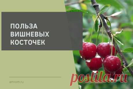 Польза вишневых косточек. Домашние средства на основе вишневых косточек отличаются противовоспалительным, мочегонным и восстанавливающим действием. В маленьком ядре есть фтор, калий, жиры и медь…