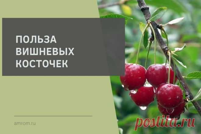 Польза вишневых косточек. Домашние средства на основе вишневых косточек отличаются противовоспалительным, мочегонным и восстанавливающим действием. В маленьком ядре есть фтор, калий, жиры и медь…