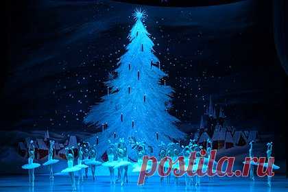 В Госдуме высказались о стоимости билетов на «Щелкунчик»