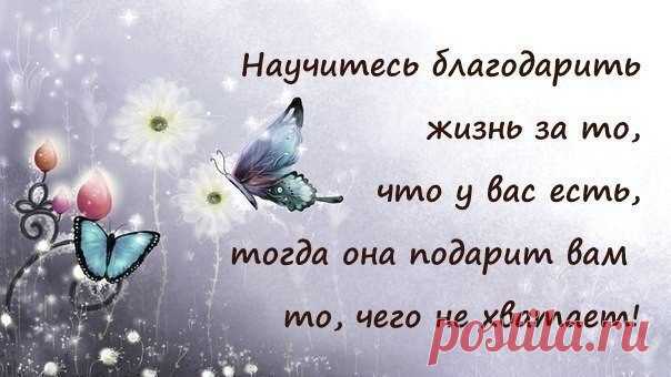 (источник: zen_yandex_ru)
