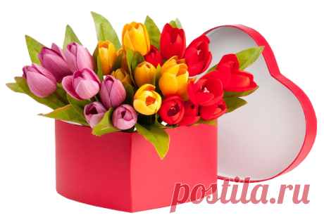 Плейкаст «❤ ​С ДРУЖЕСКИМ ПРИВЕТОМ ДЛЯ ВАС, ДРУЗЬЯ!!!❤ ​»