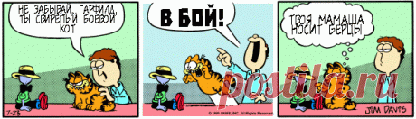 1980-07-23