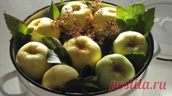 Старинных русские рецепты моченых яблок