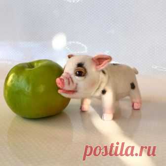 ❤️DOLLS_TOYS🐻❤️Elena Kirillova в Instagram: «👋🏻🌷 Любите маленьких поросят🐷🐽?😊А очень, очень маленьких мини Пигов? ........................... . . 👋🏻🌷 Love little piglets🐷🐽? 😊A very,…» 163 отметок «Нравится», 3 комментариев — ❤️DOLLS_TOYS🐻❤️Elena Kirillova (@elena.kirillova_toyfriends_) в Instagram: «👋🏻🌷 Любите маленьких поросят🐷🐽?😊А очень, очень маленьких мини Пигов? ........................... .…»