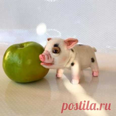 ❤️DOLLS_TOYS🐻❤️Elena Kirillova в Instagram: «👋🏻🌷 Любите маленьких поросят🐷🐽?😊А очень, очень маленьких мини Пигов? ........................... . . 👋🏻🌷 Love little piglets🐷🐽? 😊A very,…» 163 отметок «Нравится», 3 комментариев — ❤️DOLLS_TOYS🐻❤️Elena Kirillova (@elena.kirillova_toyfriends_) в Instagram: «👋🏻🌷 Любите маленьких поросят🐷🐽?😊А очень, очень маленьких мини Пигов? ........................... .…»